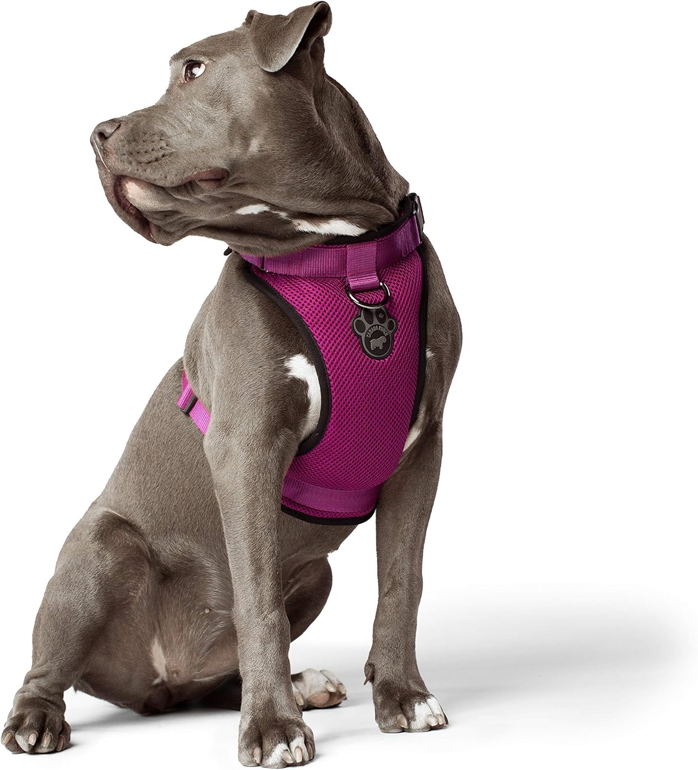 Canada Pooch Everything Dog Harness NoPull Adjustable Dog Harness