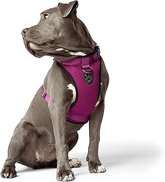 home bargains dog harness