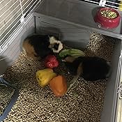 living world extra large rabbit cage