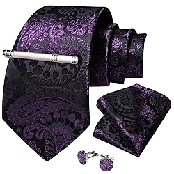 DiBanGu Silk Paisley Ties for Men Woven Necktie and