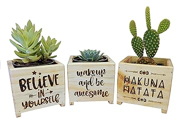 Edenzstudio Small Wooden Box Planter Laser Engraved Set of 3 (Pack of 2)