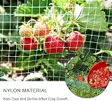 Jsdoin Strawberry Netting 4x10m Garden Net with Pegs Ties Pond Protective Mesh view 4