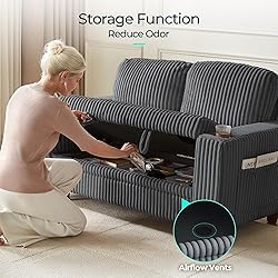 LINSY HOME Loveseat Sofa with Storage - Comfy Plush