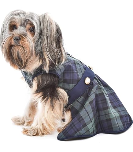 Amazon.com: Green Dog Dress