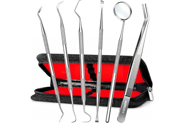 G.CATACC Dental Tools, Dental Pick Teeth Cleaning Tools Hygiene Kit, Plaque Remover for Teeth, Professional Stainless Steel T