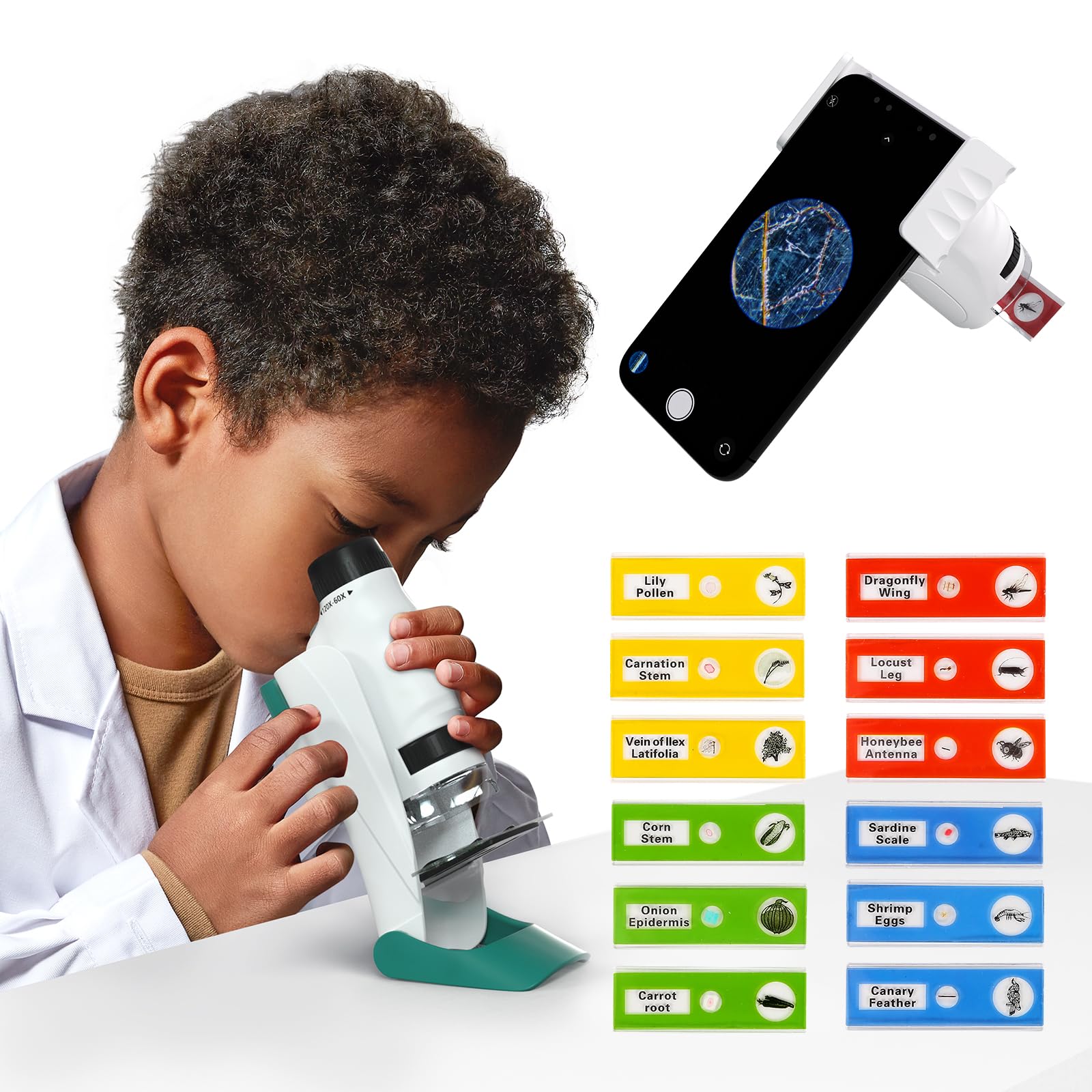 Science Can Microscope for Children Pocket Microscope 60X-120X for Children and Adults with 12 Pieces Prepared Slides Outdoor Portable Microscope Set Boys Gifts 6 7 8 9 10 Years