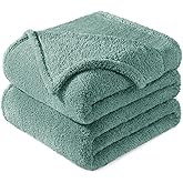 Exclusivo Mezcla King Size Blanket for Bed, Super Soft Velvet Plush Fleece Blankets, Fuzzy Cozy and Warm for Winter, 90x104 Inches, Celadon