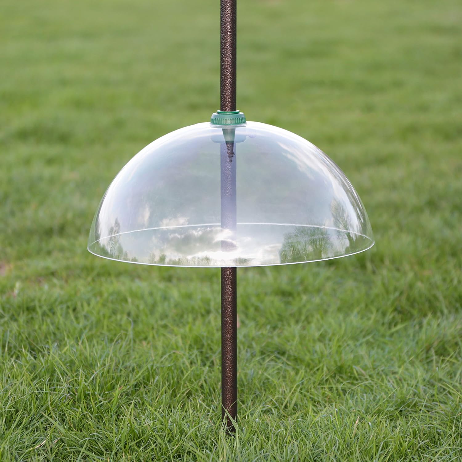 Natures Market BFBAFFLE Plastic Squirrel Baffle, Transparent, 40 x 19 x 40 cm - Image 4