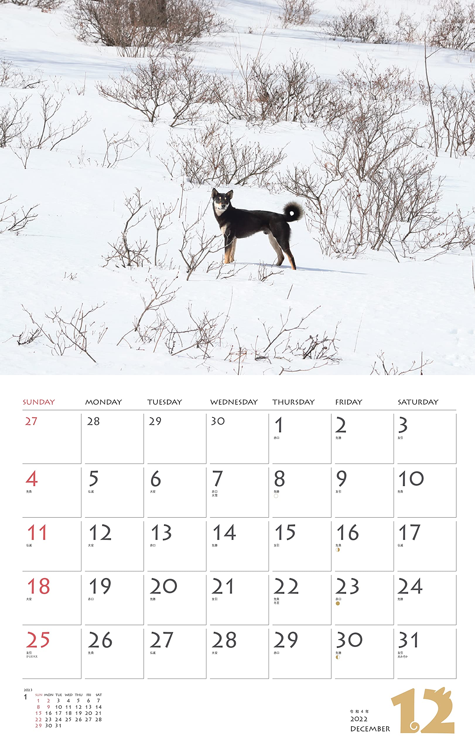 市場 代引不可 教科ノート 10冊セット 文運堂 白無地 K 56 B5 自由帳 セレクト学習帳 市場 代引不可 教科ノート 10冊セット 文運堂 白無地 K 56 B5 自由帳 セレクト学習帳