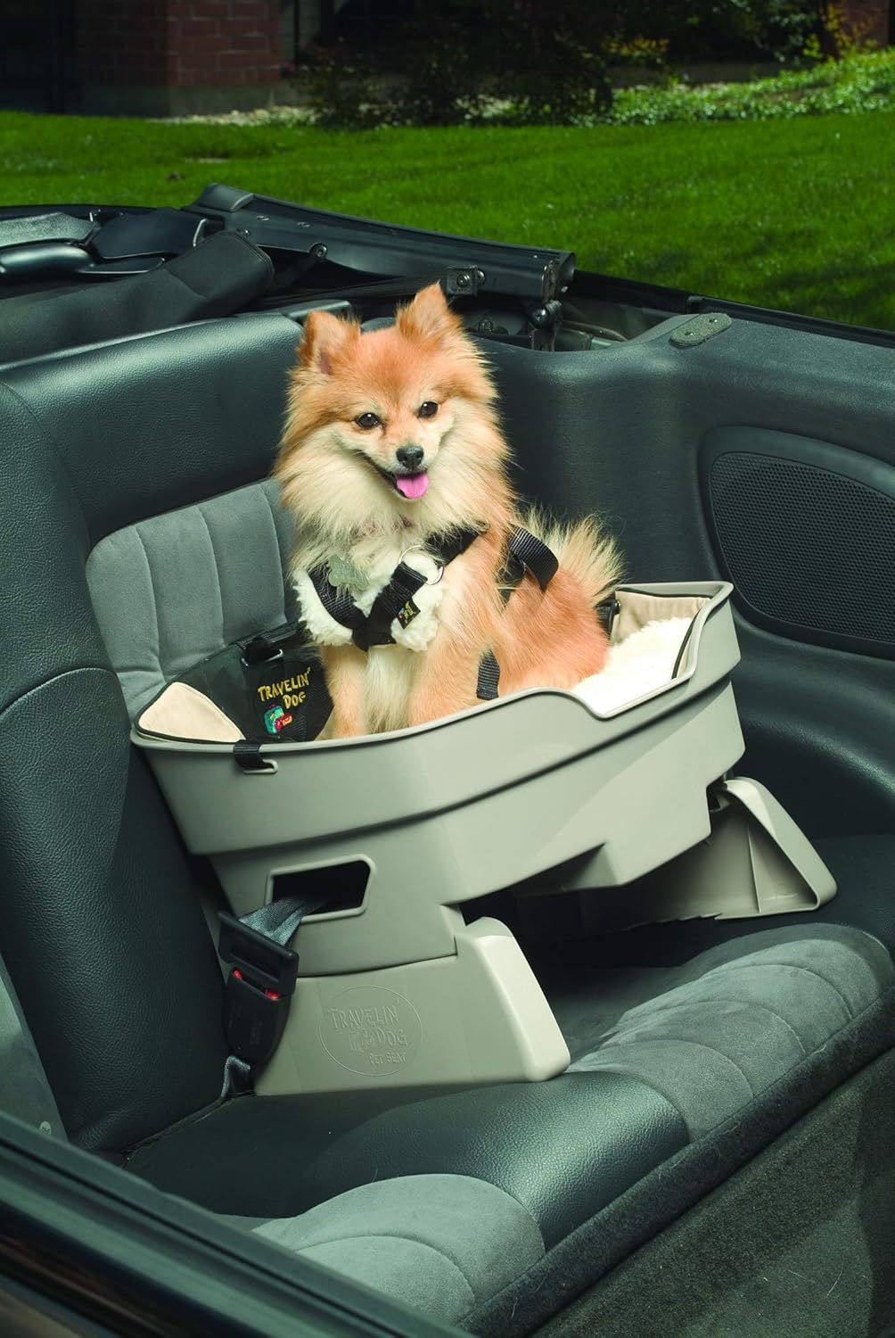 Best dog vehicle booster seat