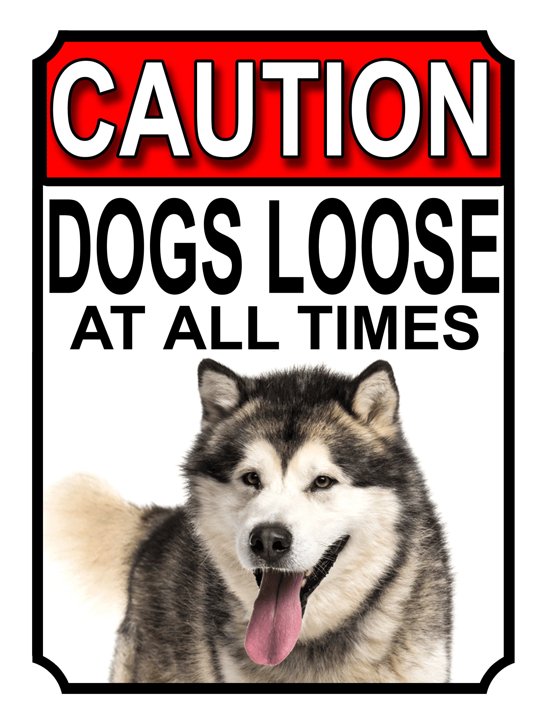 Shawprint Limited CAUTION DOGS LOOSE AT ALL TIMES METAL GATE SIGN SIBERIAN HUSKY 200MM X 150MM (1219H1) — image 1