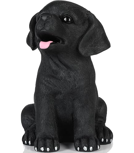 Amazon.com: Wedgwood Vera Love Always Baby Bank, 0 : Toys & Games
