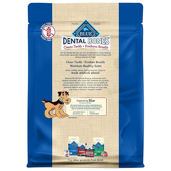 BLUE BUFFALO DENTAL BONES REGULAR NATURAL DENTAL CHEW DOG TREATS BAG VALUE PACK
