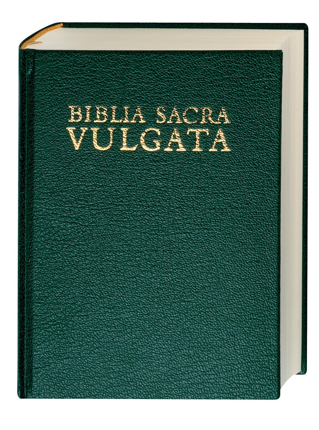 Biblia Sacra Vulgata (Vulgate): Holy Bible in Latin