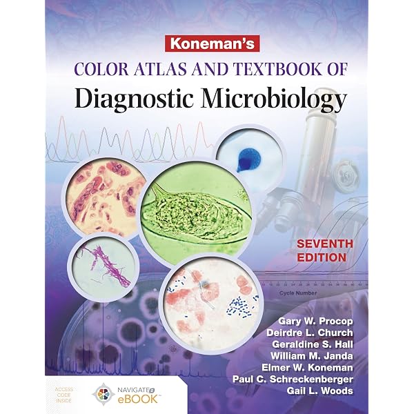 Amazon.com: Color Atlas of Microneurosurgery: 9780865771871: Koos