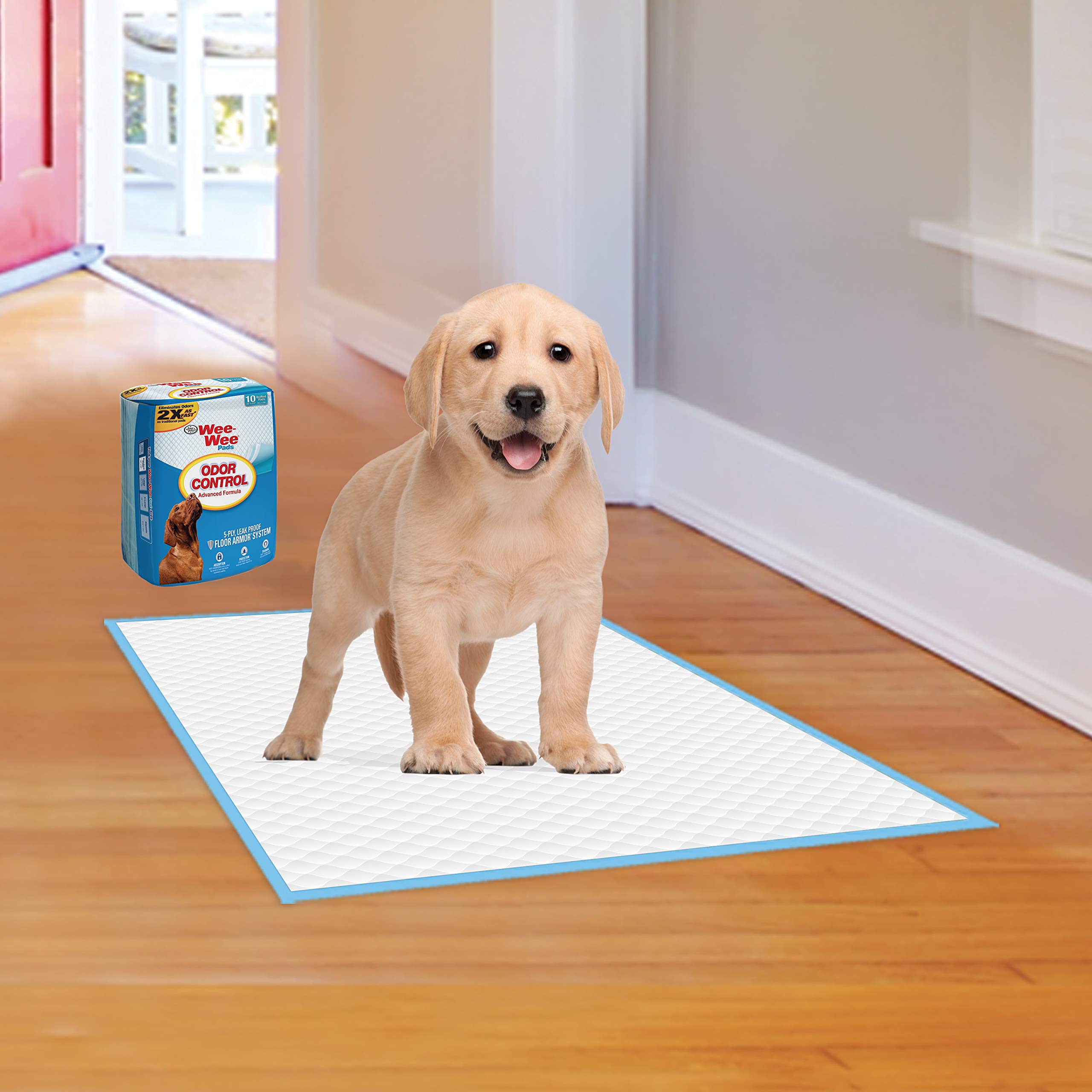 WeeWee Puppy Training Pee Pads 10Count 22" x 23" Standard Size Odor