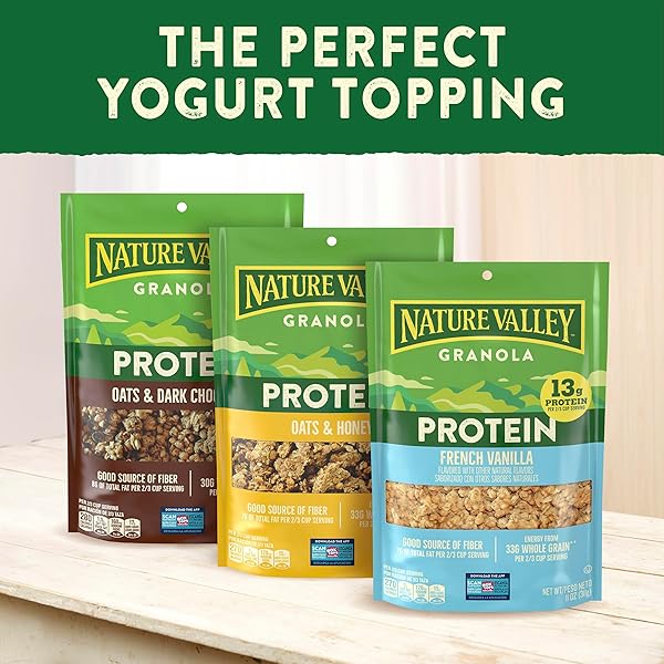 NATURE VALLEY PROTEIN GRANOLA, OATS AND HONEY GRANOLA, RESEALABLE SNACK POUCH, FAMILY SIZE, 17 OZ