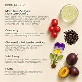 DERMAdoctor Urban Veil Skin Protection Anti Pollution Potion 30ml Wild Pansy view 6