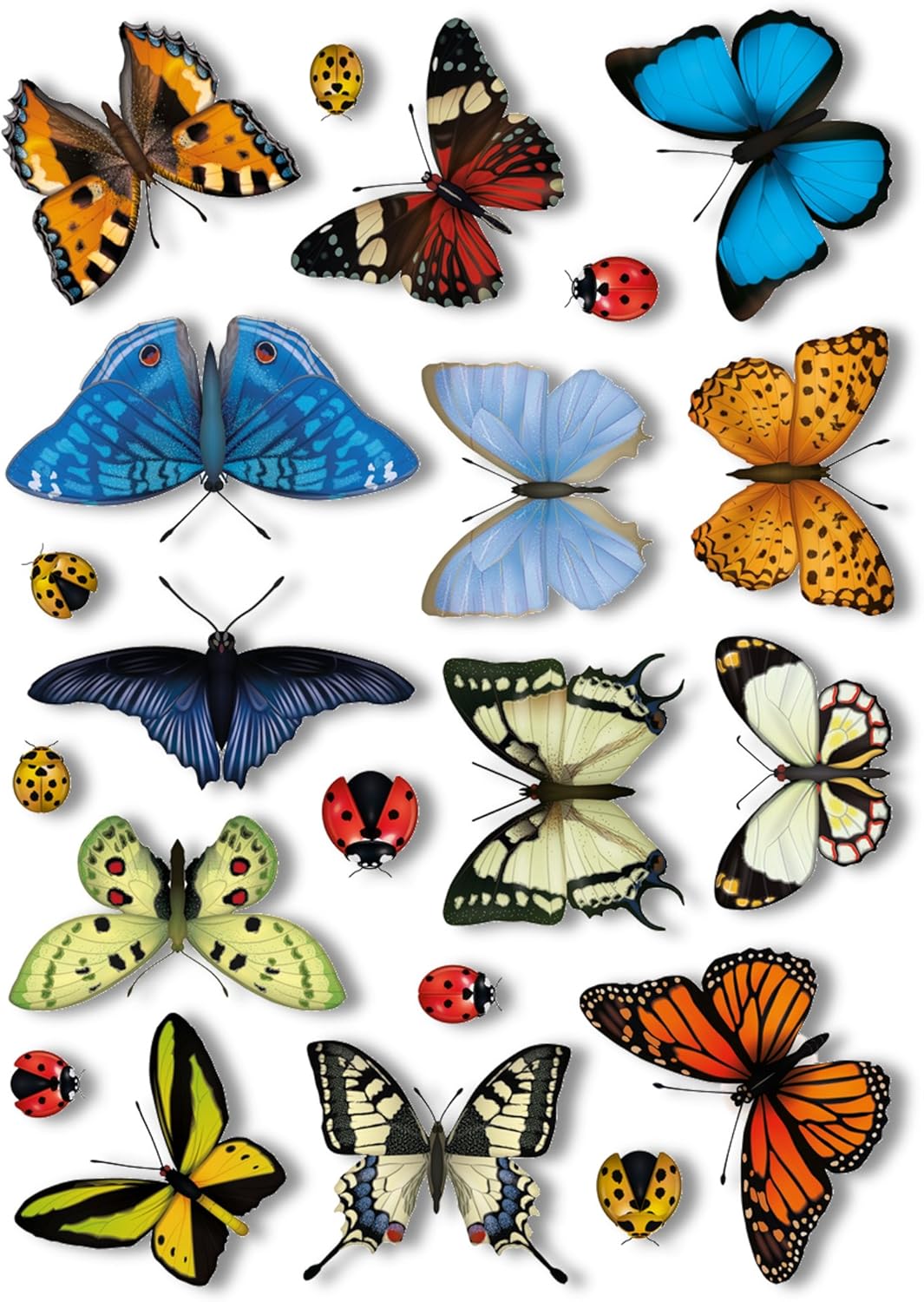 25 Realistic Butterflies & 17 Ladybird Window Clings by Articlings - Non-Adhesive Stickers Quickly Decorate and Brighten Your Windows - Image 3