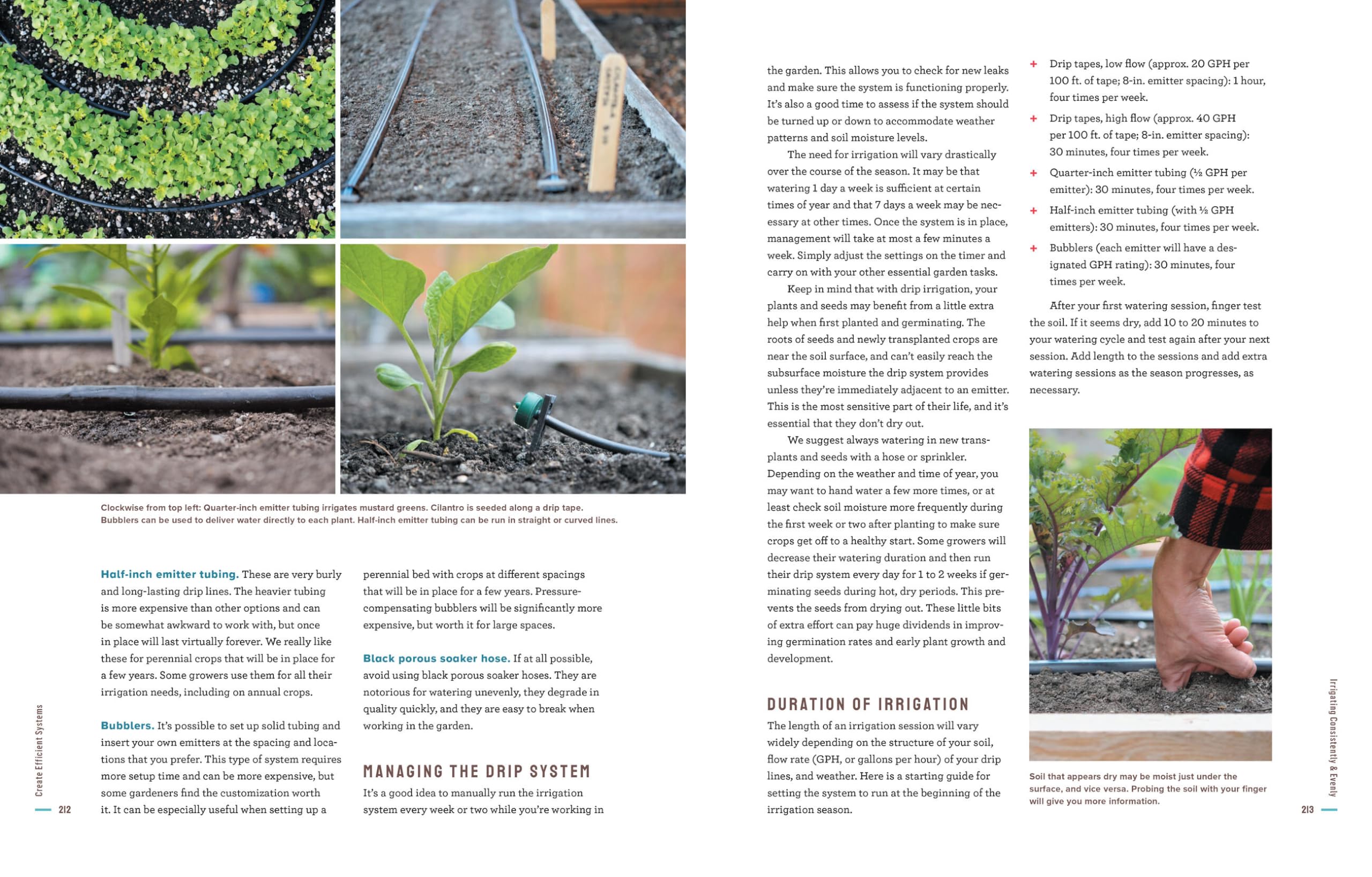 Grow More Food: A Vegetable Gardener's Guide to Getting the Biggest Harvest Possible from a Space of Any Size