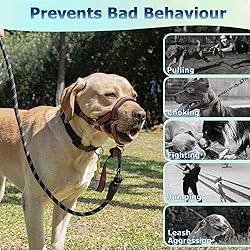 BARKLESS Muzzle Leash for Heavy Pullers, No Pull