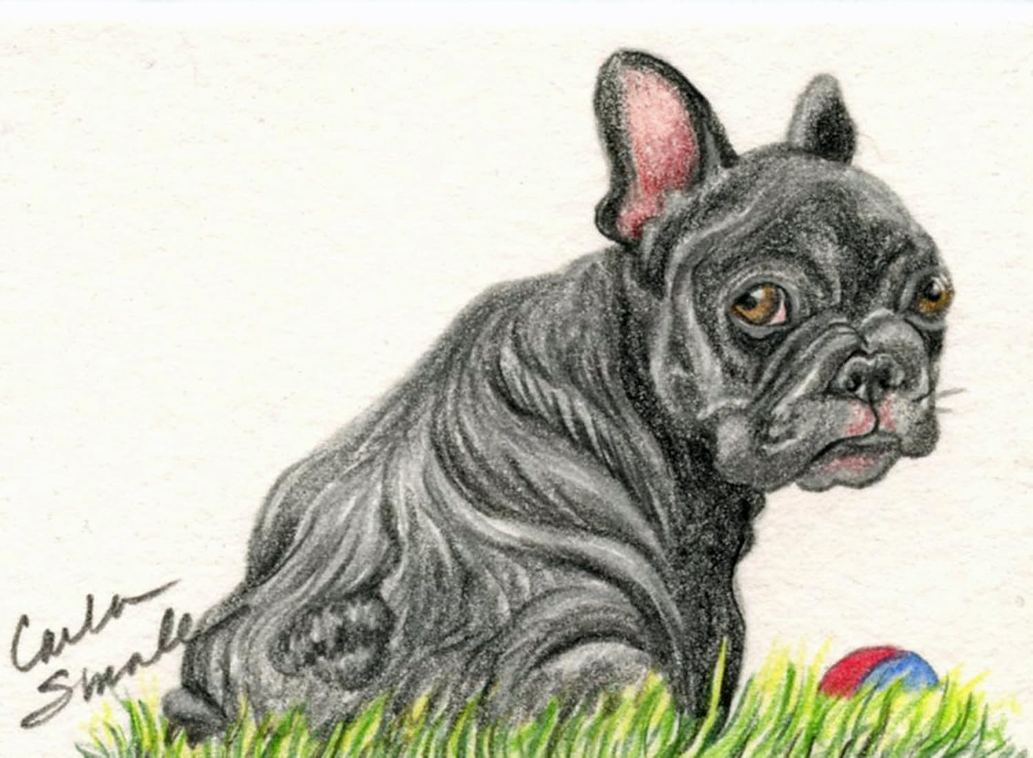 original french bulldog