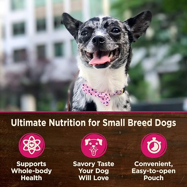 WELLNESS CORE SMALL BREED MINI MEALS SHREDDED IN GRAVY ADULT WET DOG FOOD, GRAIN FREE, NATURAL, CHICKEN AND TURKEY DINNER RECIPE, 3 OZ, PACK OF 12 POUCHES