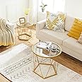 HOOBRO Small Coffee Table Set of 2, Round Coffee End Table with Metal Frame, Glass Top, Gold Side Table for Living Room, Bedroom and Balcony, Modern Style, Gold GD79BZ01