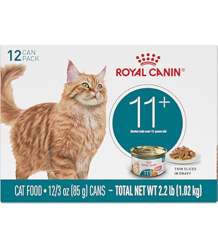 all in one cat litter box XXL Stainless Steel Cat Litter Box with High Side, Leak-Proof Design, Great for Maine Coons & Big Cats Family