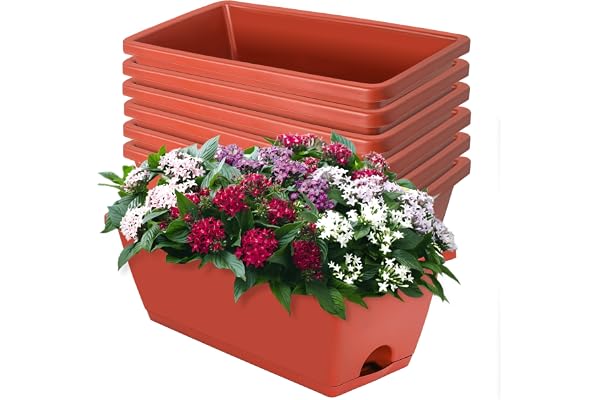 LOCONHA 7 Pack Window Box Planter