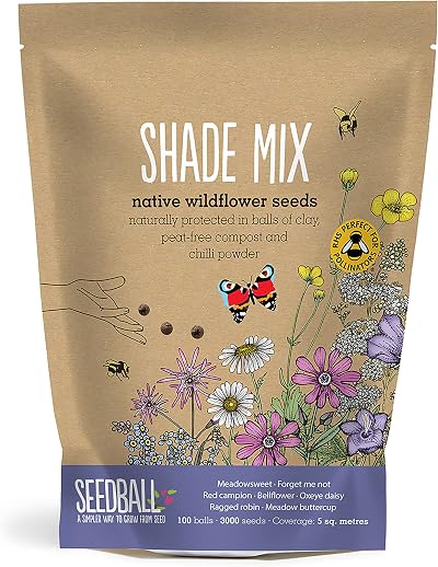 Seedball Shade Mix Wildflower Seed Bombs 100 Balls British Native Seeds