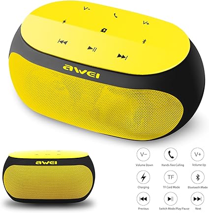 portable bluetooth speakers with microphone