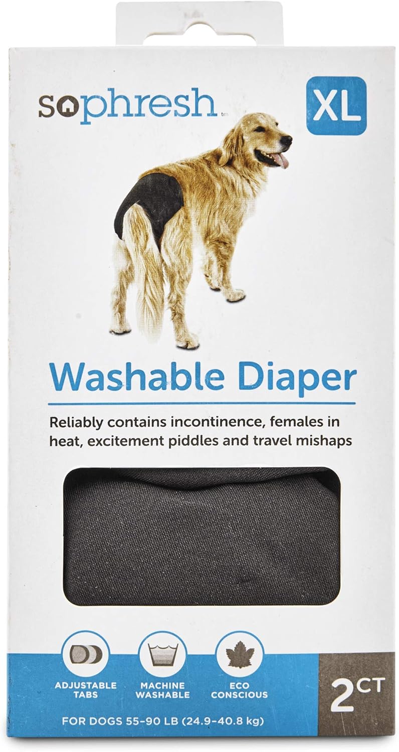 walter the farting dog goes on a cruise