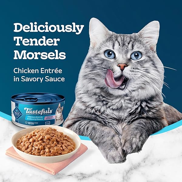 BLUE BUFFALO TASTEFULS NATURAL TENDER MORSELS WET CAT FOOD, CHICKEN ENTRÉE 3-OZ CANS (PACK OF 24)