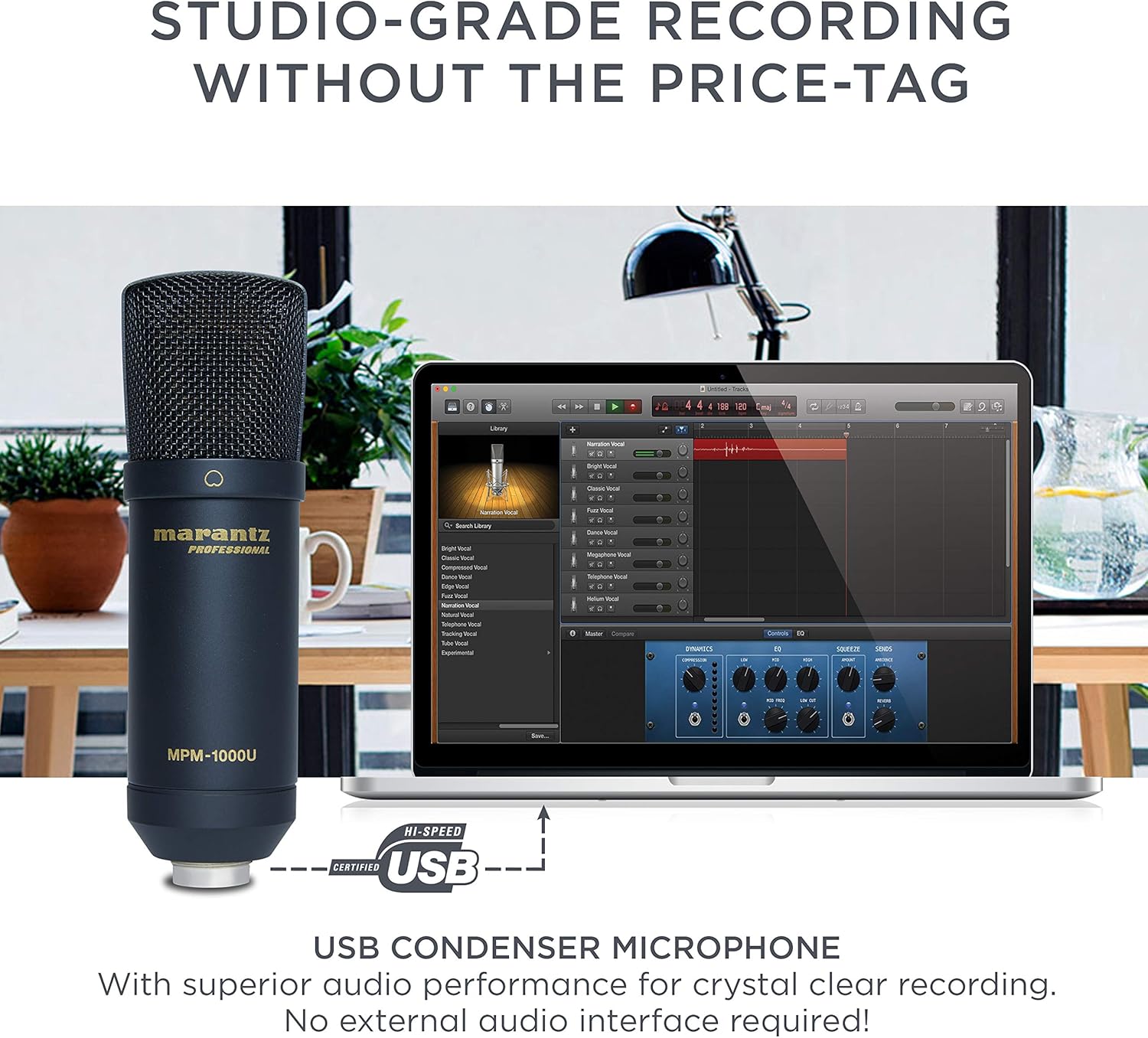 Amazon Com Marantz Professional Mpm 1000u Large Diaphragm Usb Condenser Microphone For Podcasting Recording Including Usb Cable Mic Clip Musical Instruments