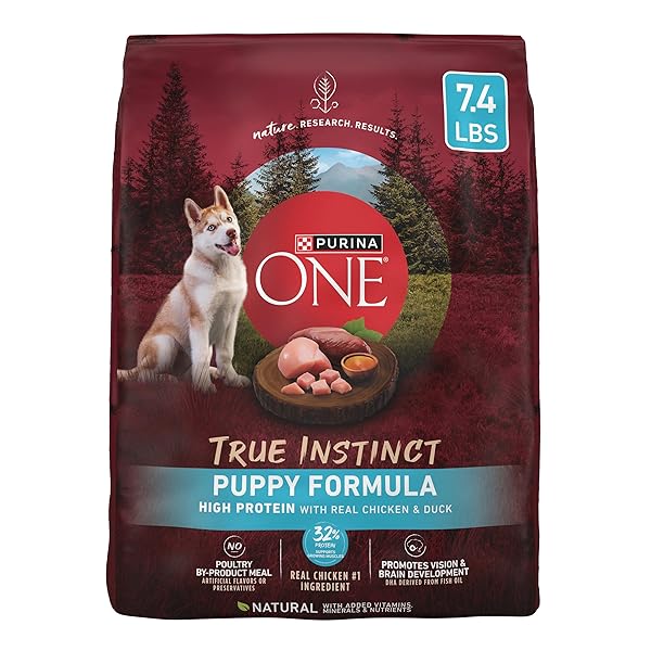 PURINA ONE TRUE INSTINCT WITH REAL CHICKEN AND...