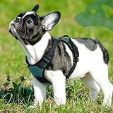 Eagloo Small Dog Harness Adjustable No Pull Reflective Front Clip Dark Green view 9
