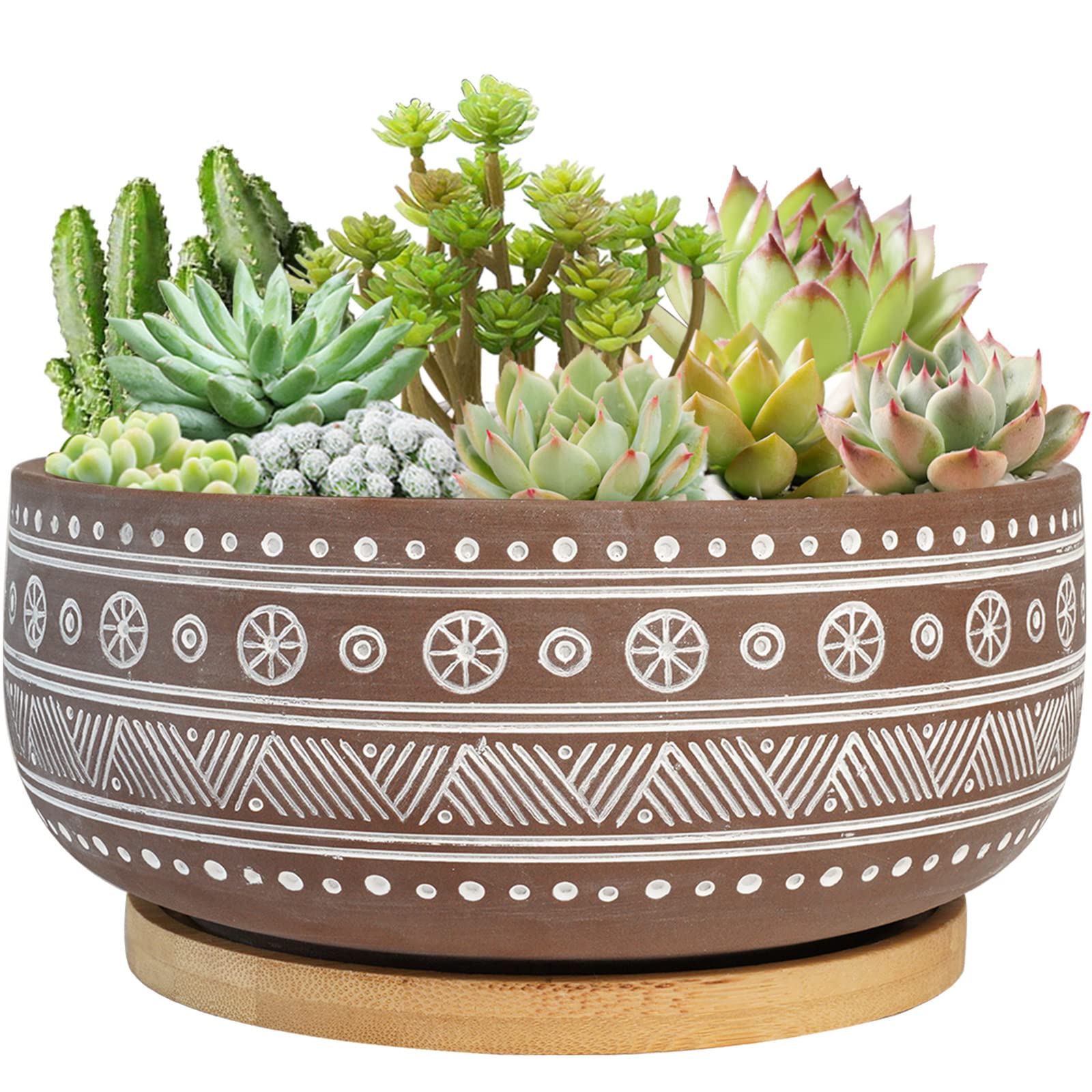 Thirtypot 20CM Terracotta Succulent Planter Pot with Drainage Hole and Bamboo Tray, Brown Round Shallow Bonsai Pot for Indoor Plants