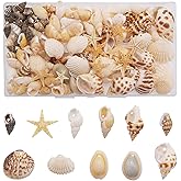 GraceAngie 1 Box 150PCS Small Tiny Sea Shells with Hole Mixed 11 Styles Beach Natural Seashell for DIY Jewelry Making, Home D