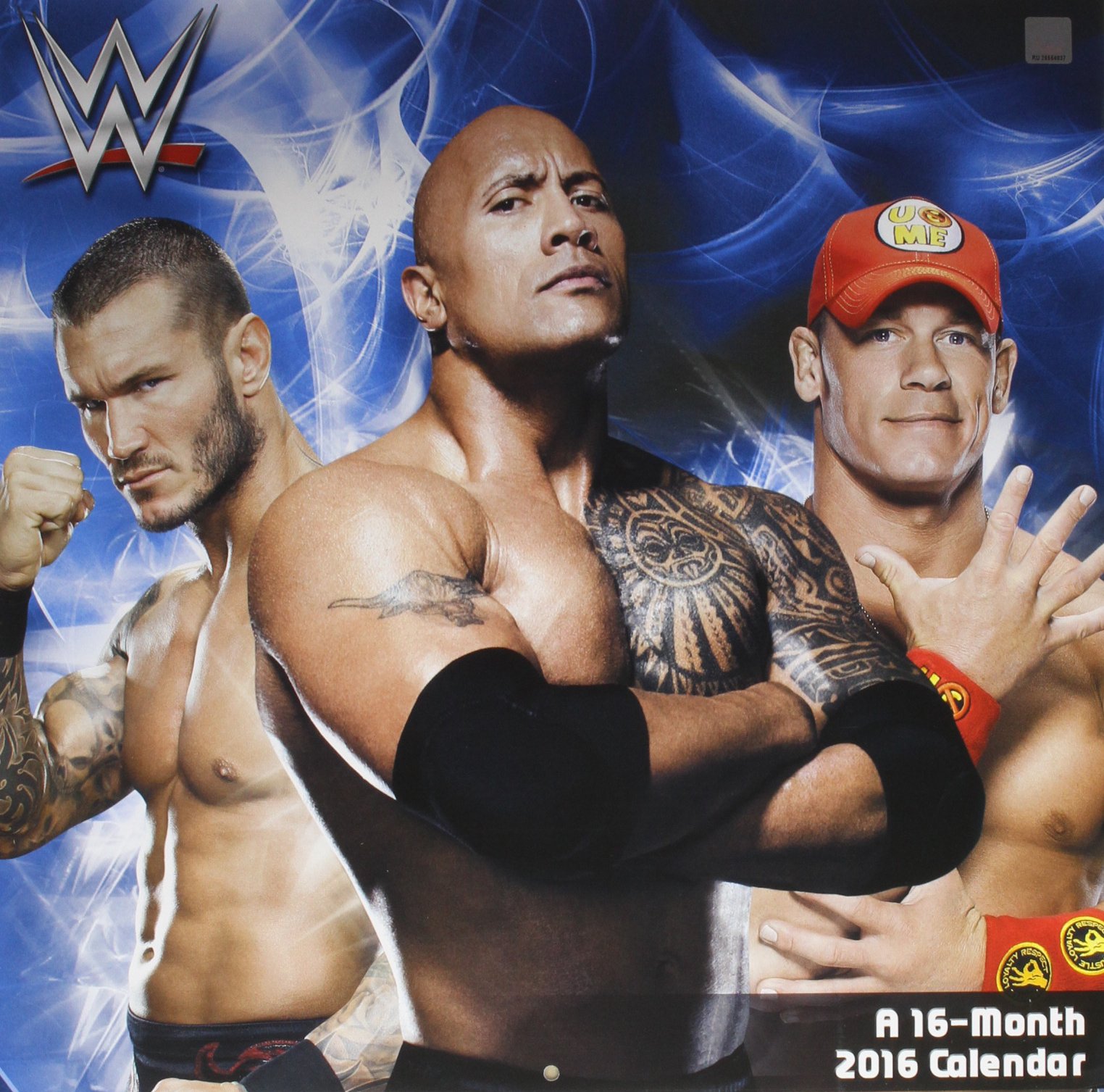 wwe 2016