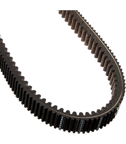 Amazon.com: Ultimax UXP446 Belts, black : Automotive