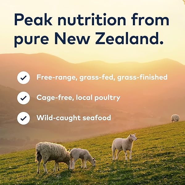 ZIWI PEAK AIR-DRIED CAT FOOD – LAMB – ALL NATURAL, HIGH PROTEIN, GRAIN FREE, LIMITED INGREDIENT W/ SUPERFOODS (35.2OZ)