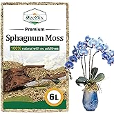 ZeeDix 6L Premium Sphagnum Moss for Plants Indoor, New Zealand Sphagnum Moss for Orchid Potting Mix Terrarium Succulent Carnivorous Ferns Hosta Garden & Reptile Habitat