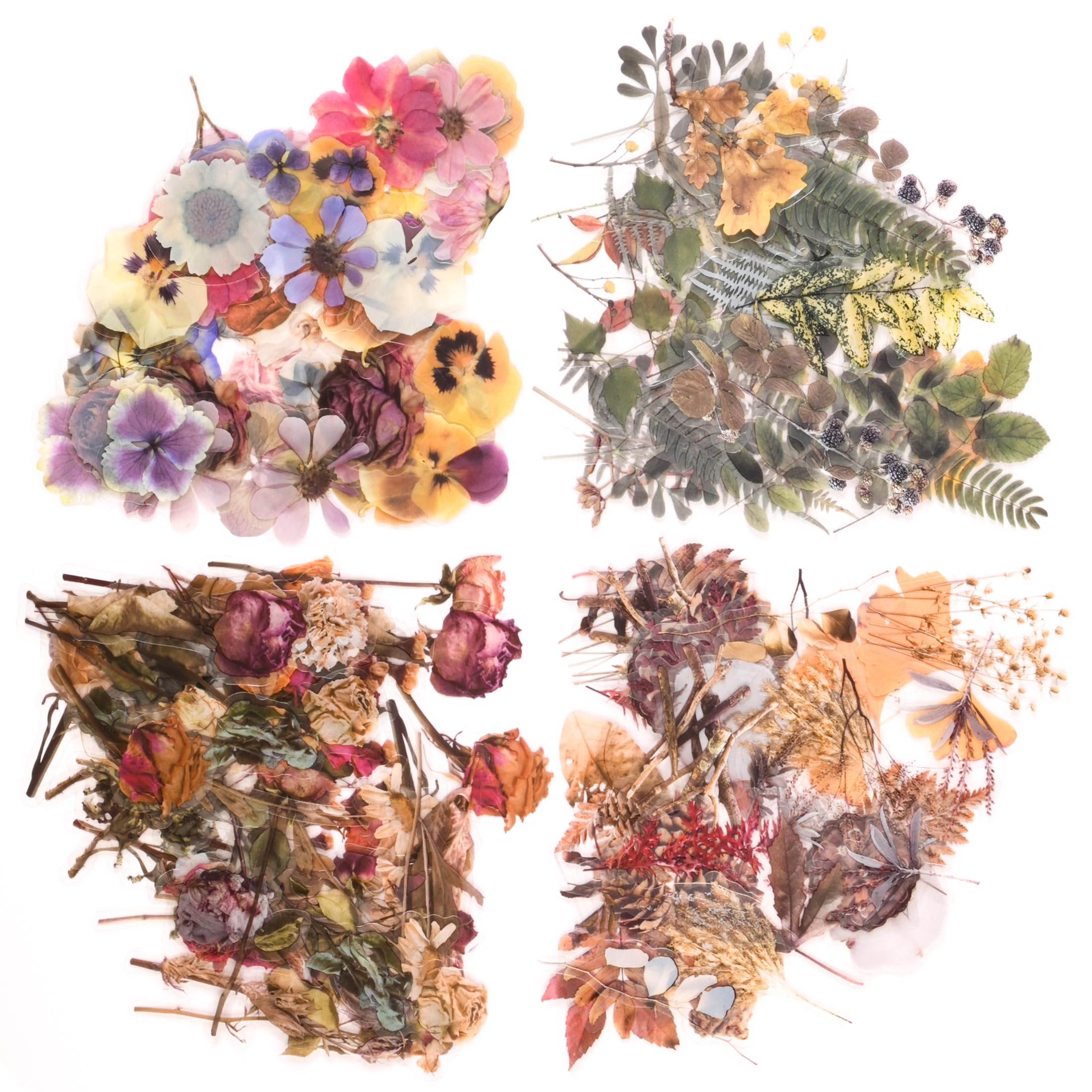 Photo 1 of 160Pcs Natural Flower Stickers, PET Transparent Dried Rose Scrapbook Stickers, Self-Adhesive Natural Flower Leaves Decorative Stickers for Scrapbook Supplies Art Craft Journal Bottles Card Making