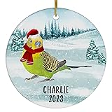 Santa Hat and Scarf Welcome Winter Yellow Headed
