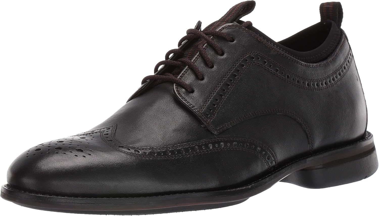 holland long wing oxford