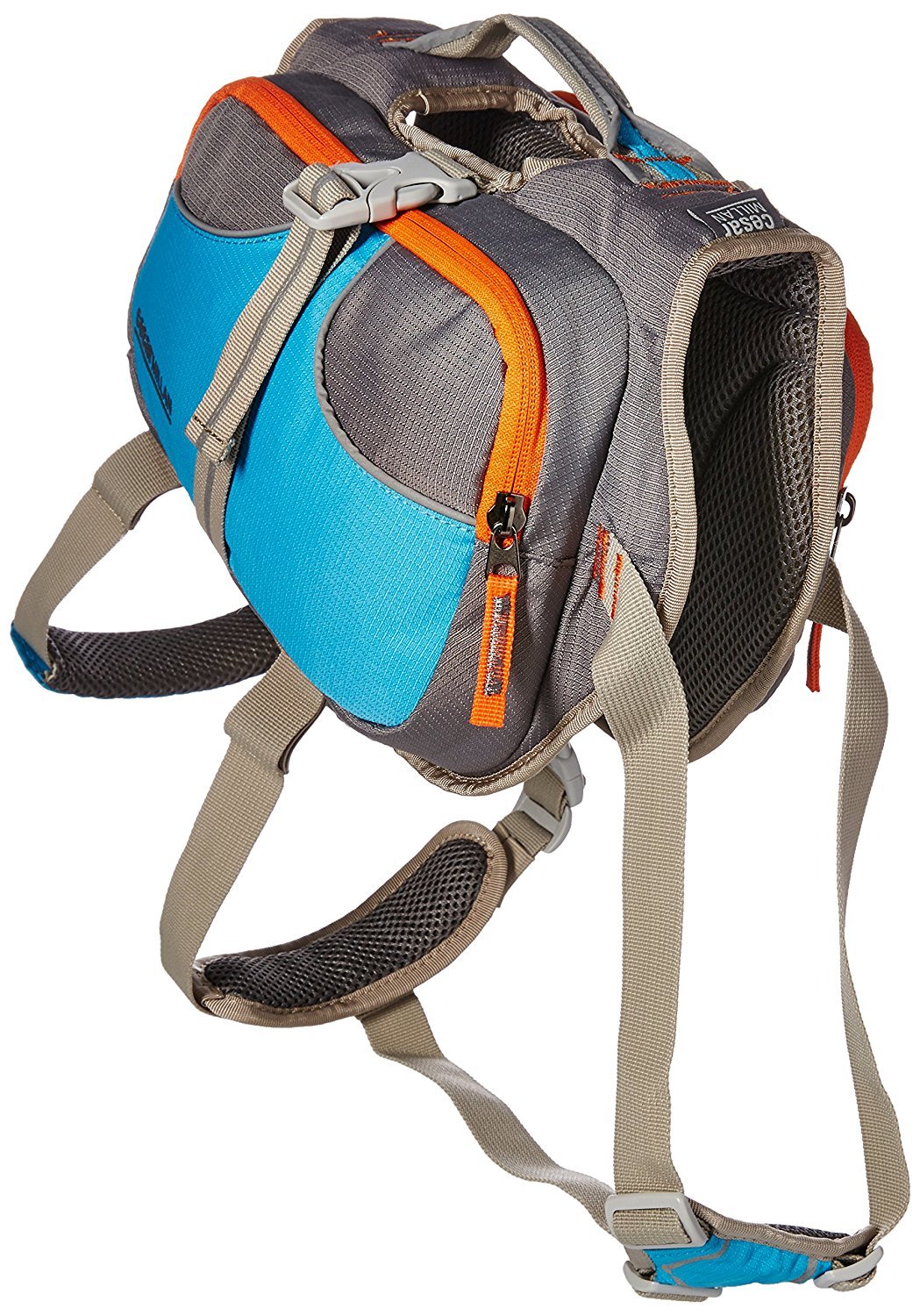 cesar millan backpack