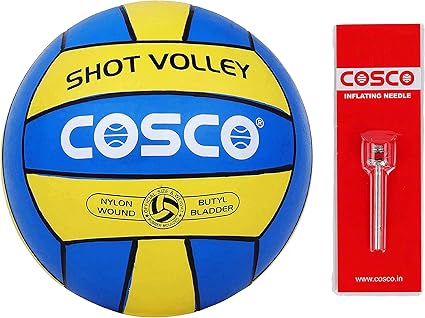 Amazon.com : Cosco Shot Volleyball, 4 
