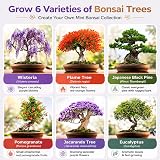 Grow Buddha Master Bonsai Growing Kit - Six Seed Indoor Bonsai Set view 2
