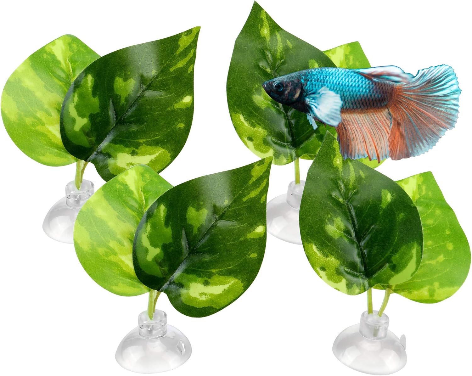 Filhome 4 Pack Betta Fish Leaf Pad, Betta Hammock Leaf Bed